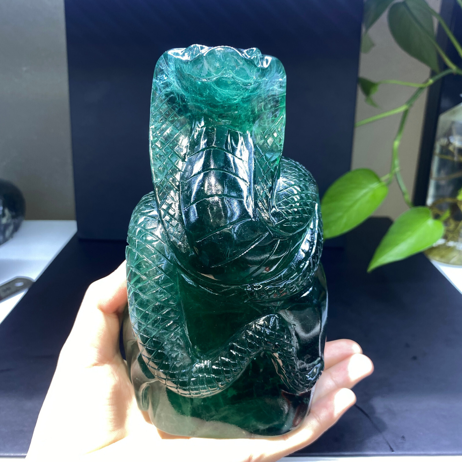 1pc Natural fluorite Quartz Carved Snake Skull Crystal Reiki Healing Gem Decor