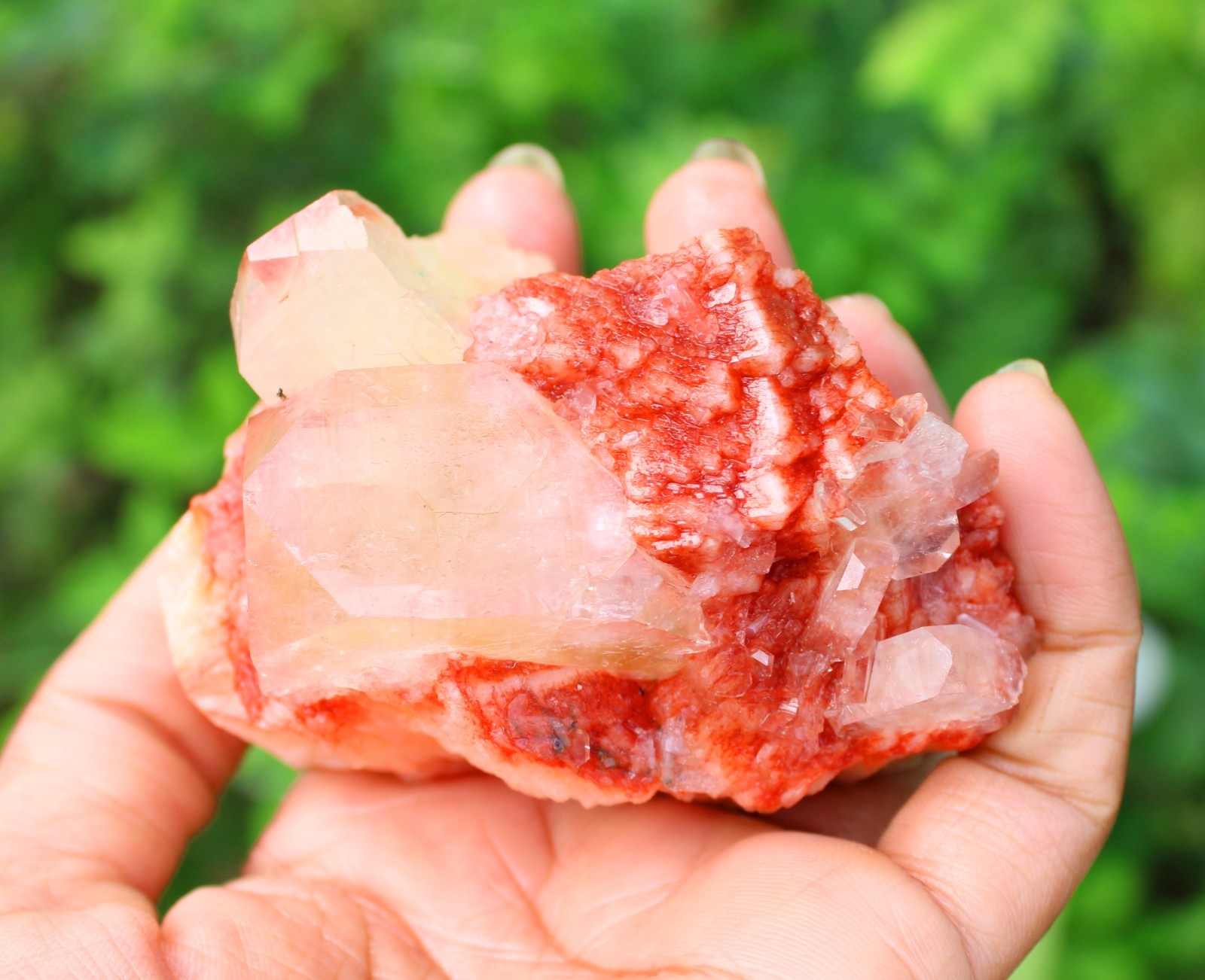 APOPHYLLITE CRYSTALS ON RED STILBITE MINERAL SPECIMEN