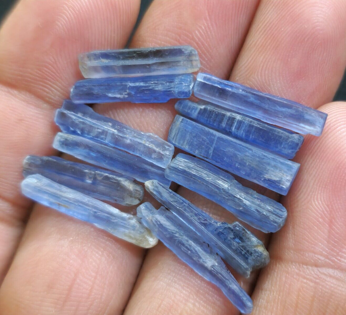Gorgeous Blue Kyanite Raw Shards 12 Piece Lot Rough 18-20 MM For Jewelry Making
