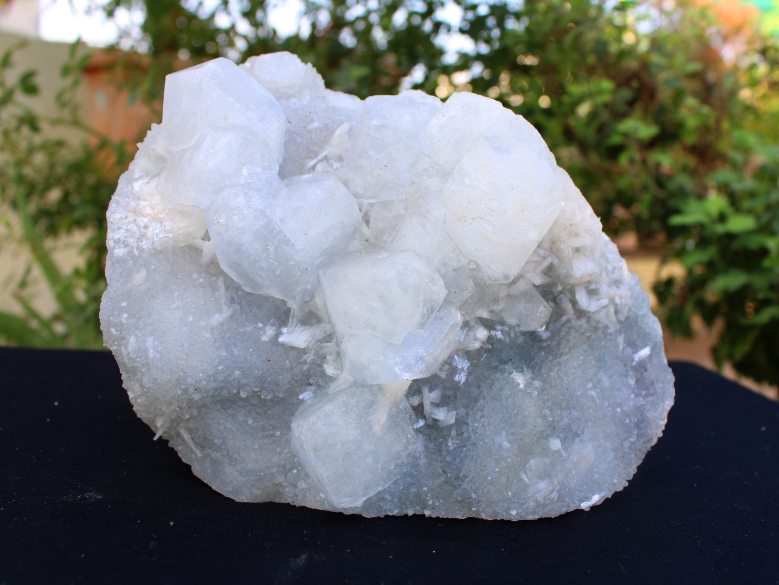 APOPHYLLITE CRYSTAL ON CHALCEDONY CORAL MATRIX MINERALS SPECIMEN #A34