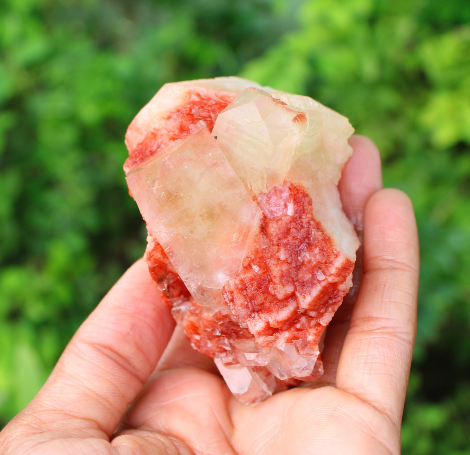APOPHYLLITE CRYSTALS ON RED STILBITE MINERAL SPECIMEN