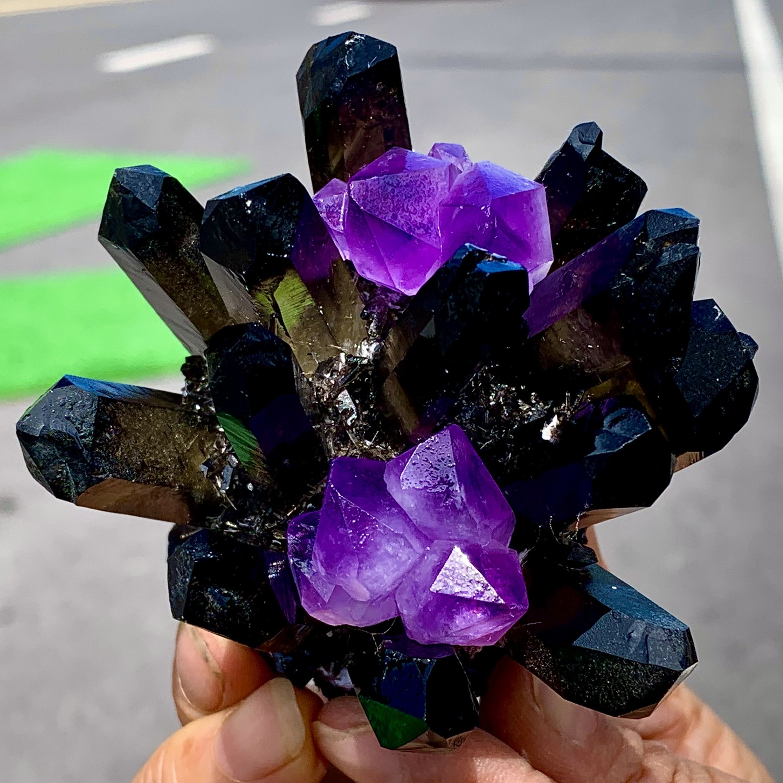 268G New Find black+purple Phantom Quartz Crystal Cluster Mineral Specimen