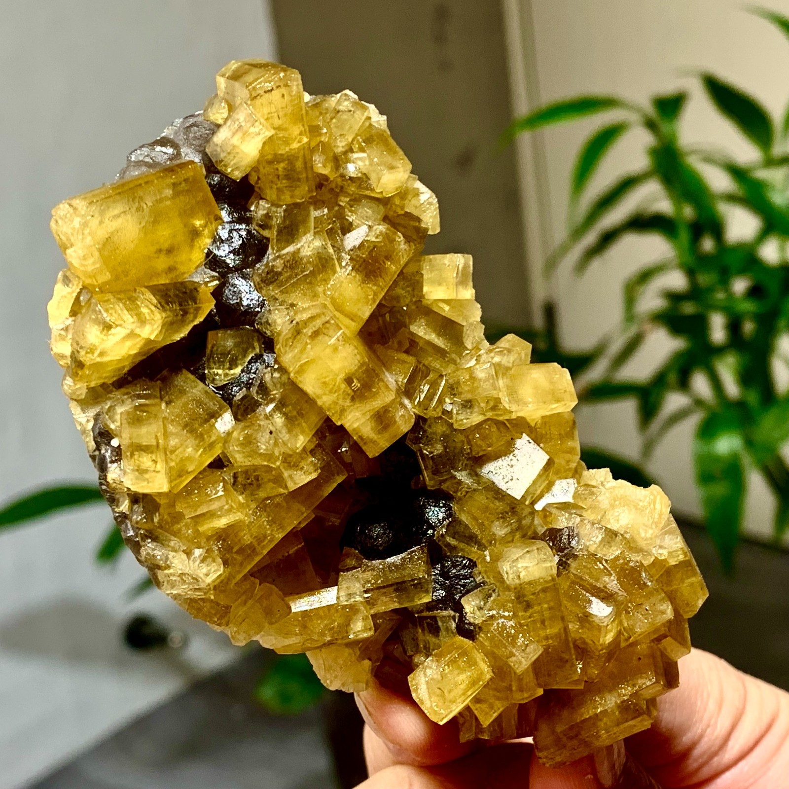 300G Shiny Golden Cuboid Barite Crystal Based on the Purple Spherical Fluorite