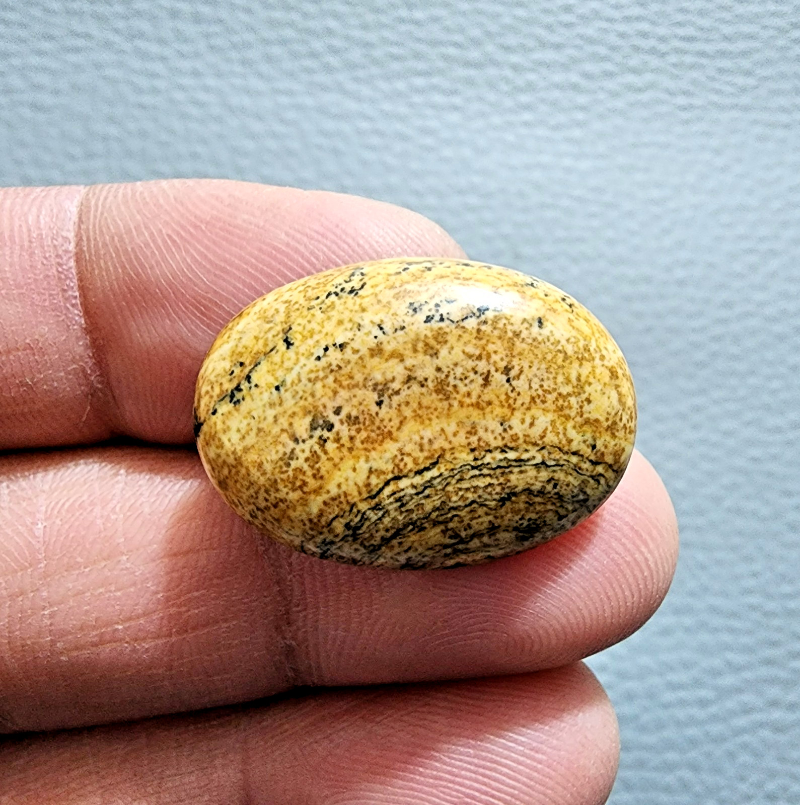 Picture Jasper 20.9ct Oval Cabochon – Unique Natural Gemstone for Jewelry Making