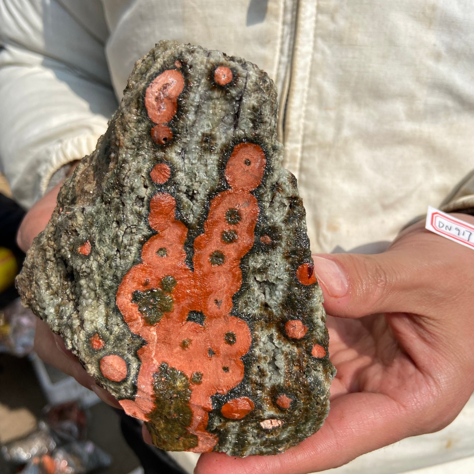 2.5lb Natural colourful ocean jasper raw stone crystal rough mineral specimen