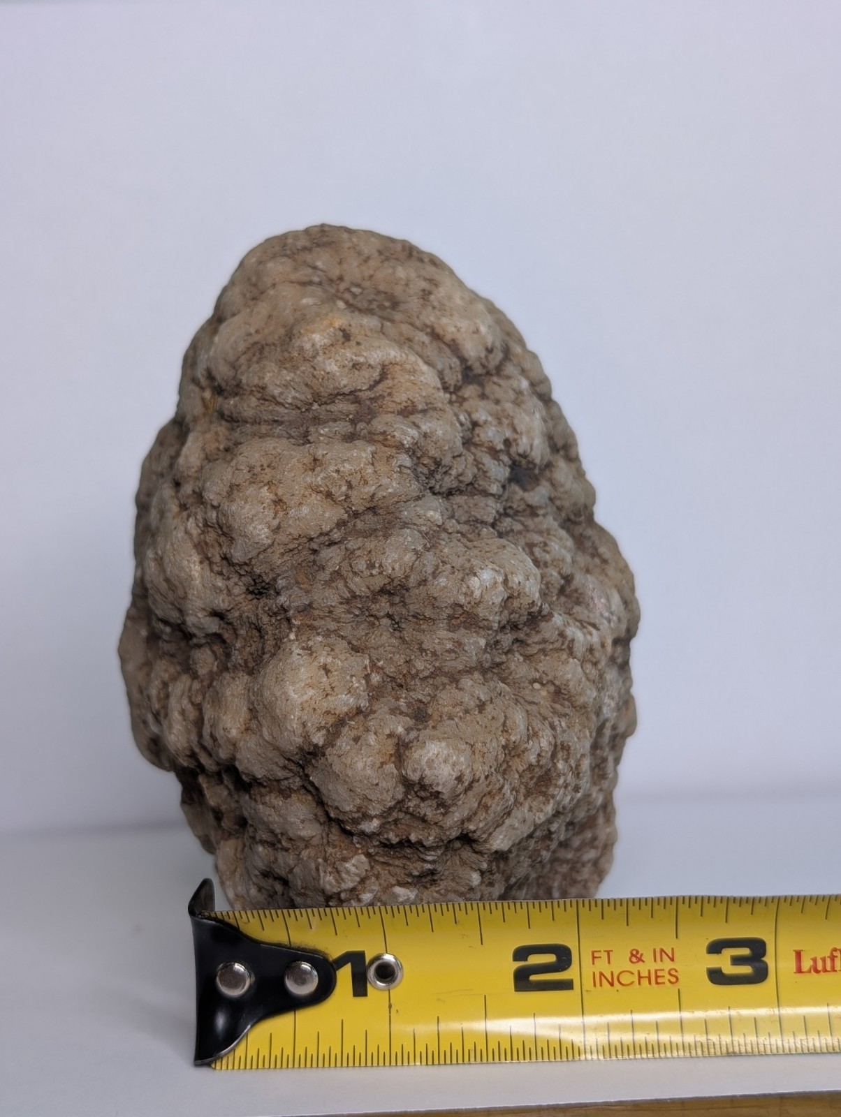 2lb Unopened Geode Crystal Mineral Specimen Natural Quartz Break Your Own