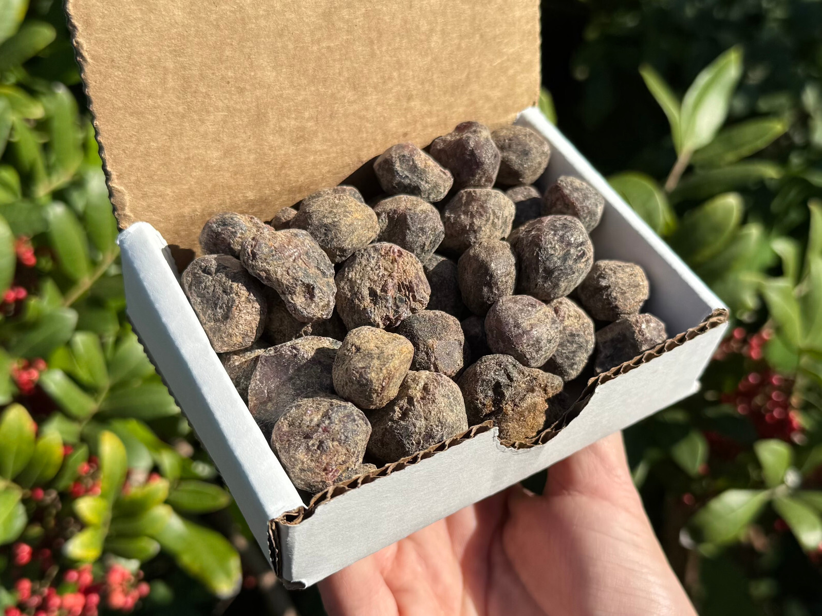 1/2 lb Bulk Lot Rough Natural Red Garnet In Box (Natural Garnet Crystals, 8 oz)