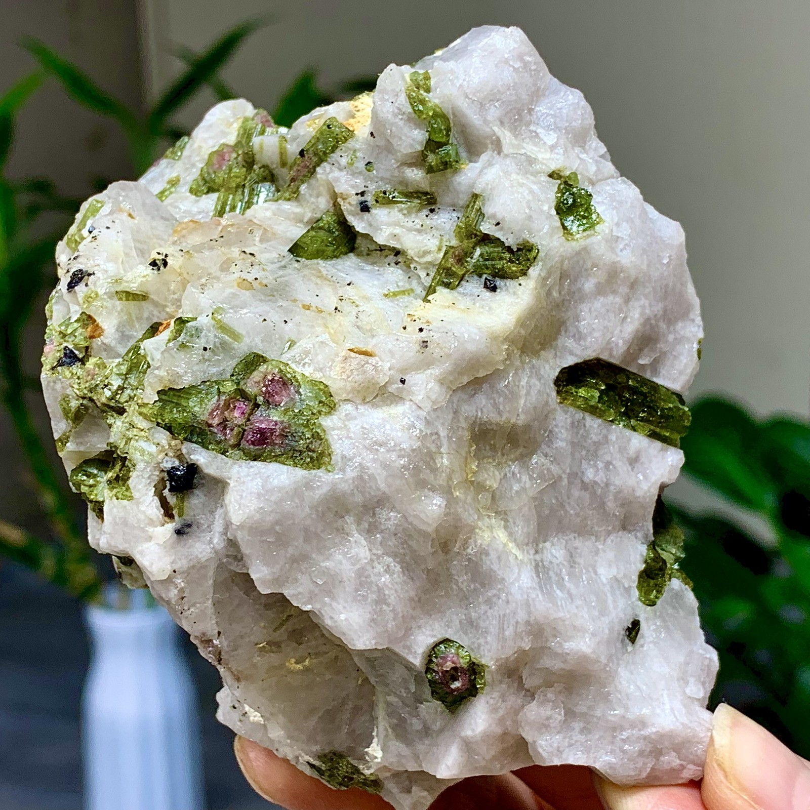 414G Natural Two tone watermelon tourmaline crystal cluster mineral specimen