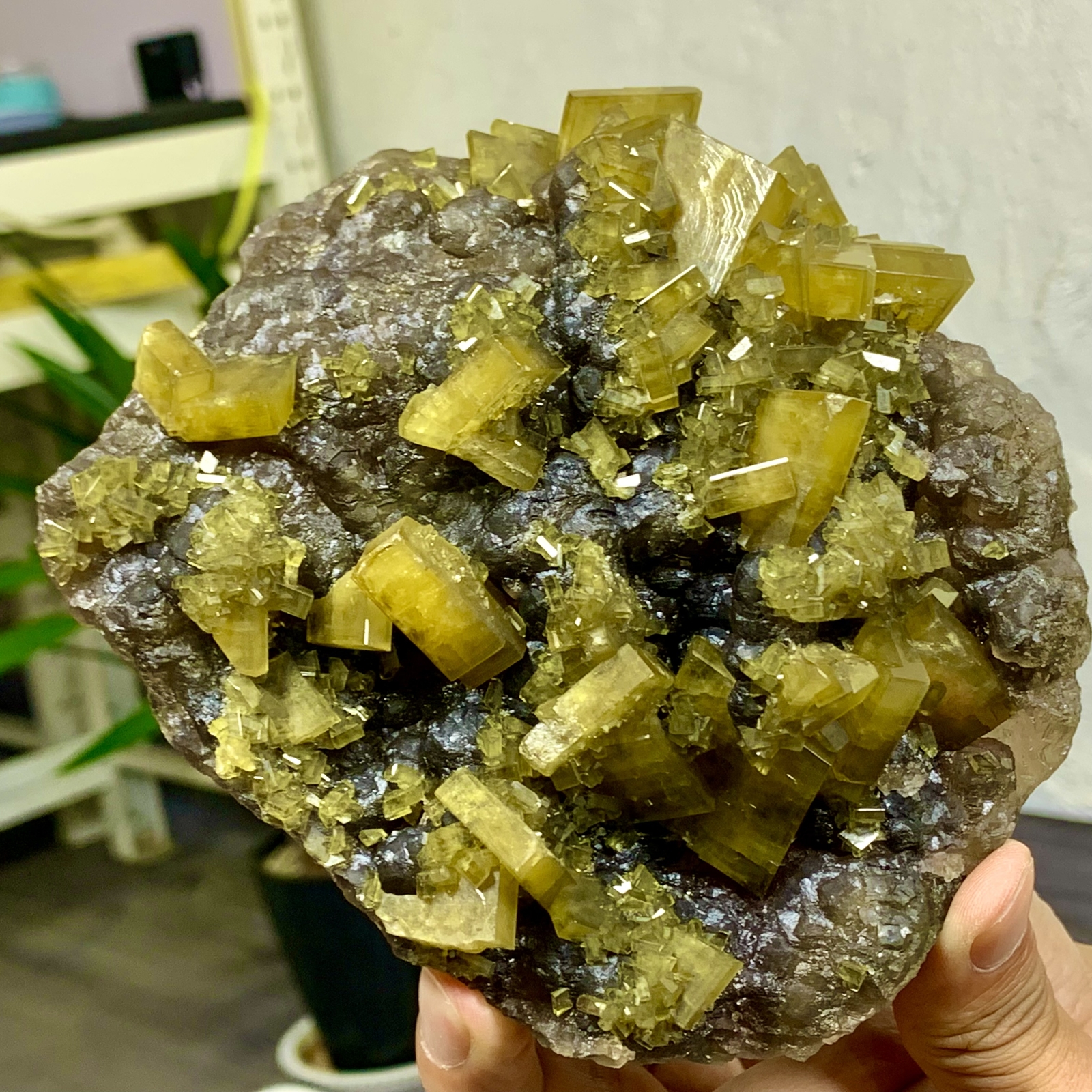 2.76LB Shiny Golden Cuboid Barite Crystal Based on the Purple Spherical Fluorite