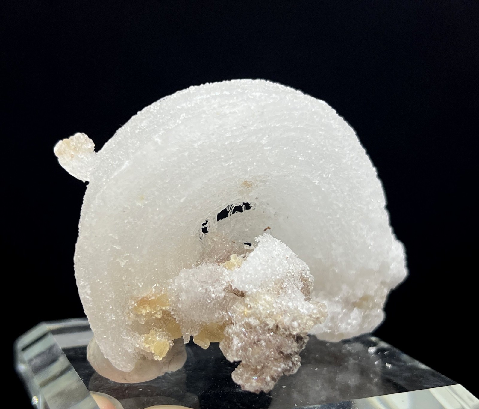 60mm 41g ‘Ram’s Horn’ shape Selenite (Gypsum), Natural Mineral Specimen