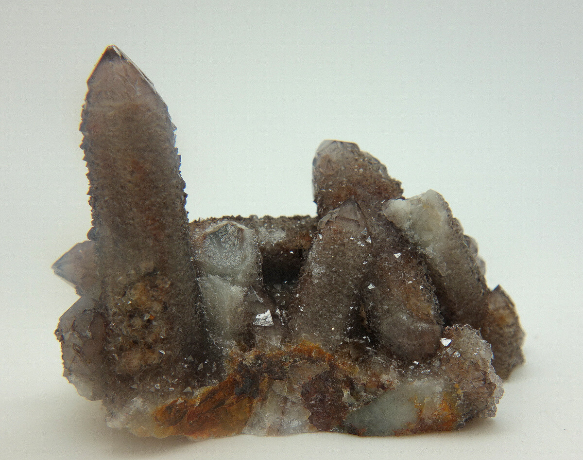 Dark Amethyst Spirit Cactus Quartz Crystal Cluster ~ South Africa