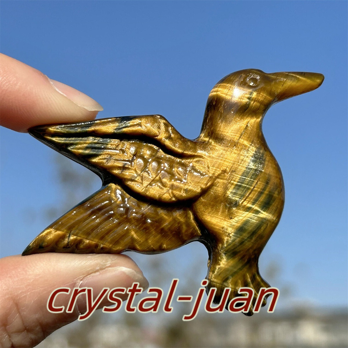 2″+ Natural Tiger’s eye hummingbird skull Carved Crystal Crystal skull heal