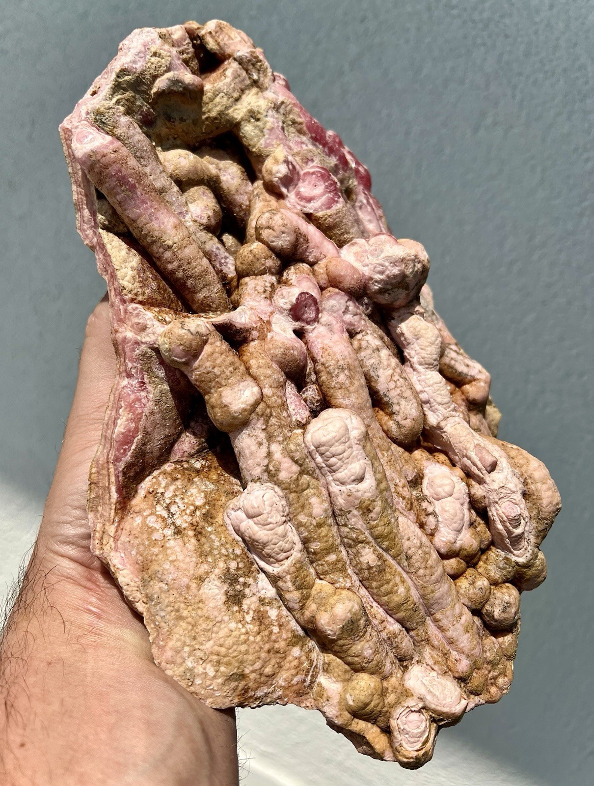 6.8 Pound: Rhodochrosite Stalactite Cluster Massive Ortiz, Capillitas, Argentina