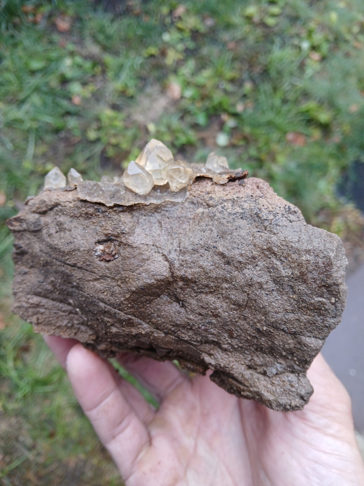 “Gorgeous 😍 Golden Healer” Herkimer💎s On Druze Matrix Dolostone Host Rock NY