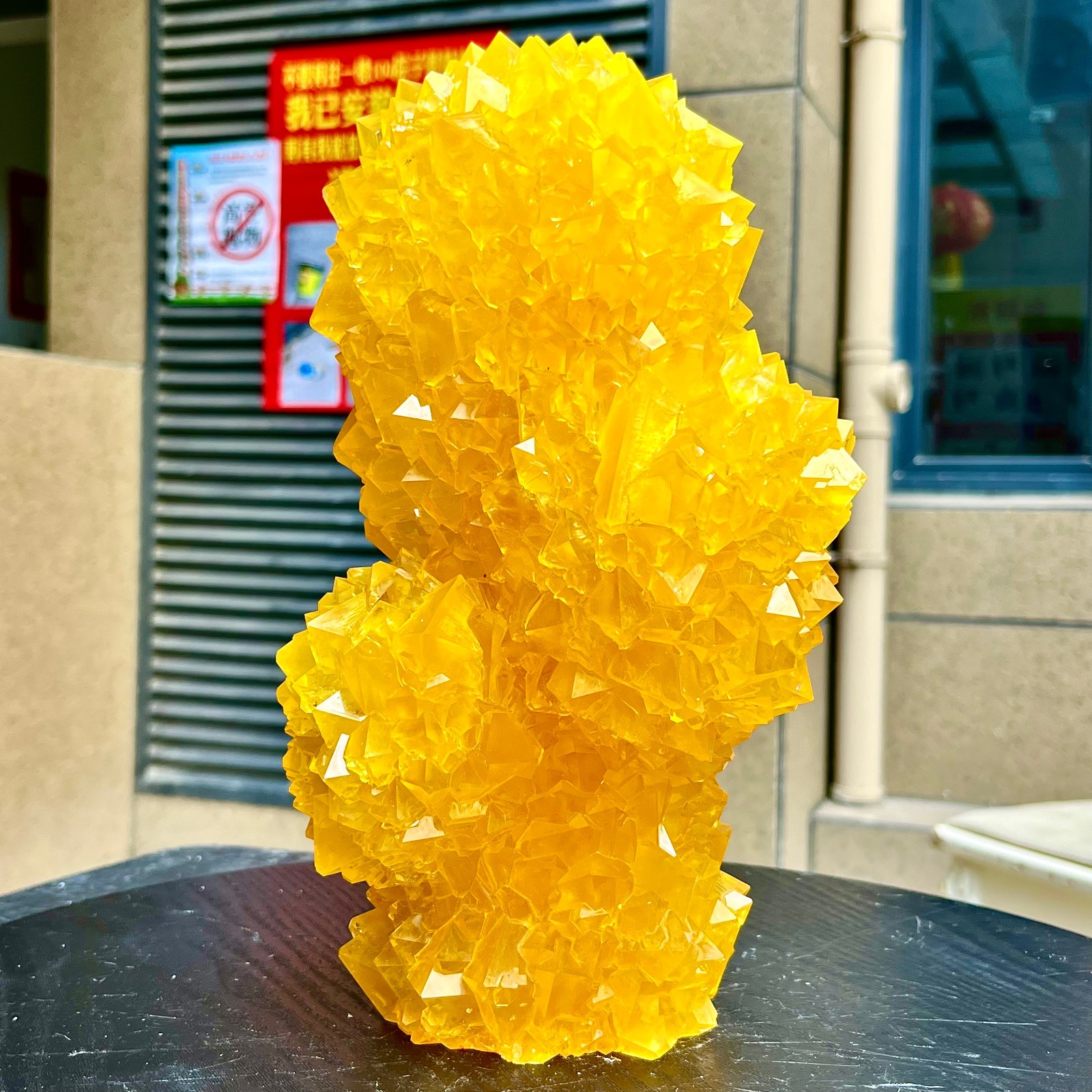 8.03LB Yellow Ghost Phantom Crystal Cluster Flower Raw Crystal Heal Quartz Decor
