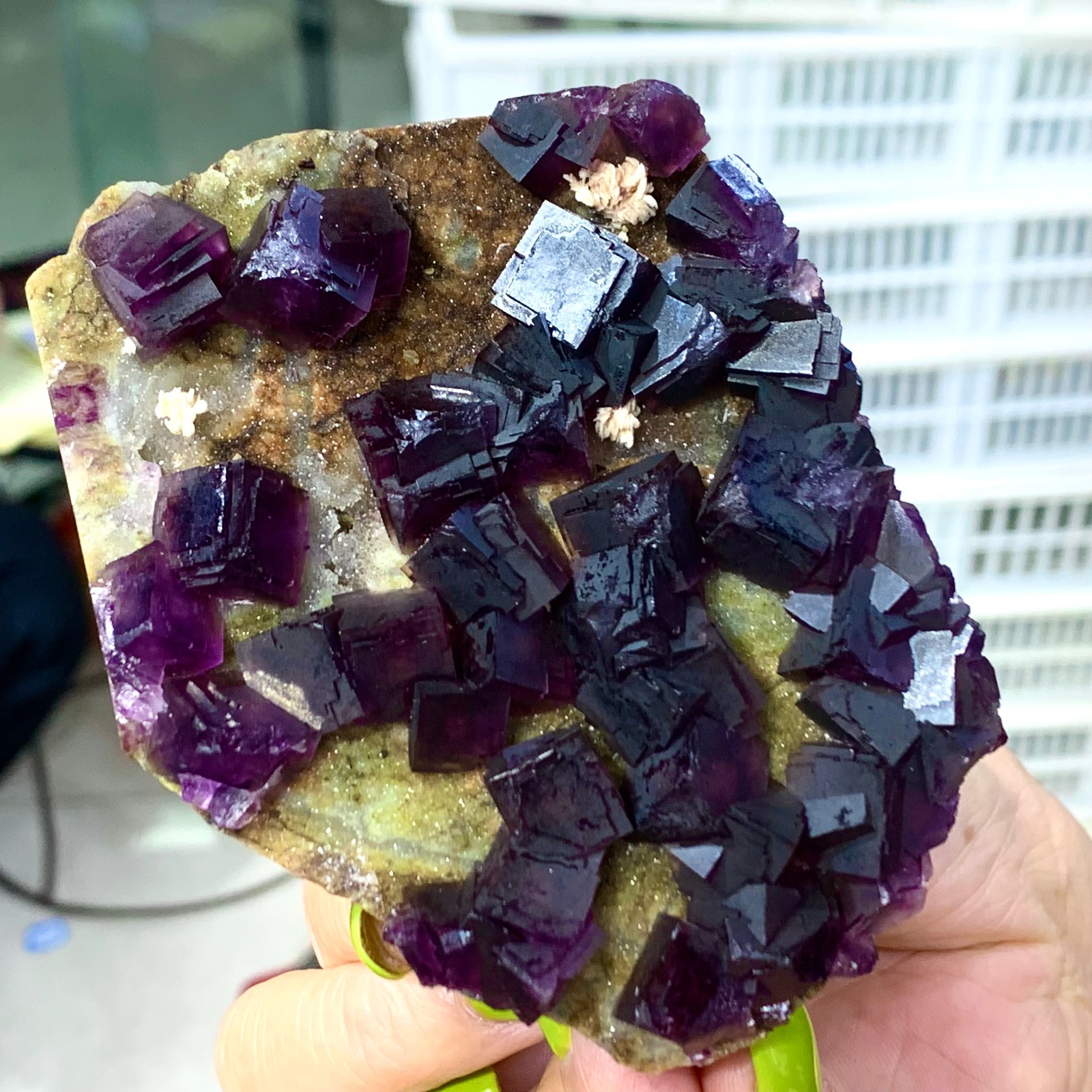 331G Rare Purple cubic fluorite mineral crystal sample/Zhejiang