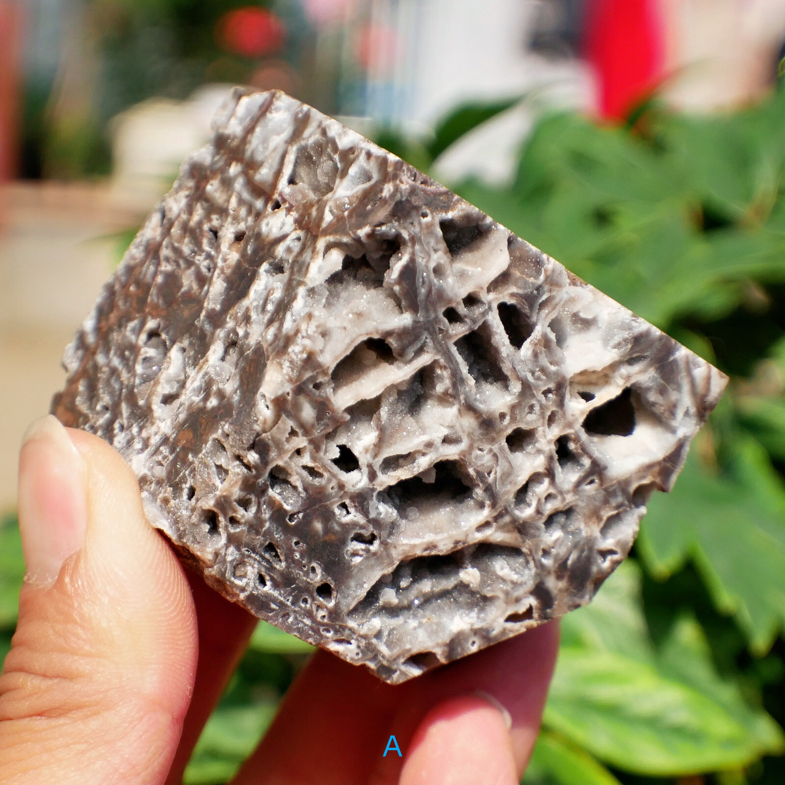 2″ Sphalerite Druzy Geode Cube Crystal Healing Gemstone Natural Mineral Specimen