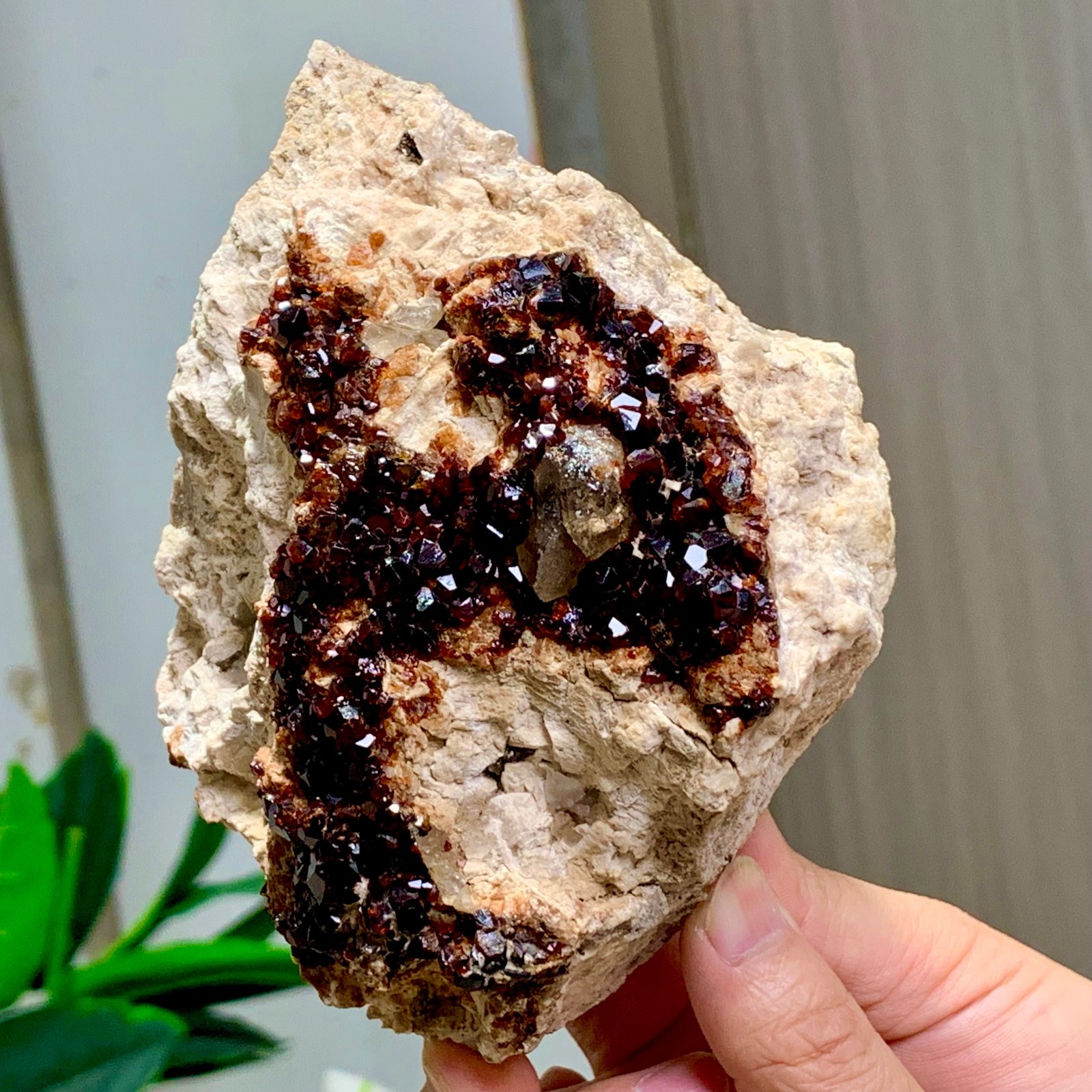 1.92LB Natural Garnet with smokey quartz cluster Crystal Mineral Specimen