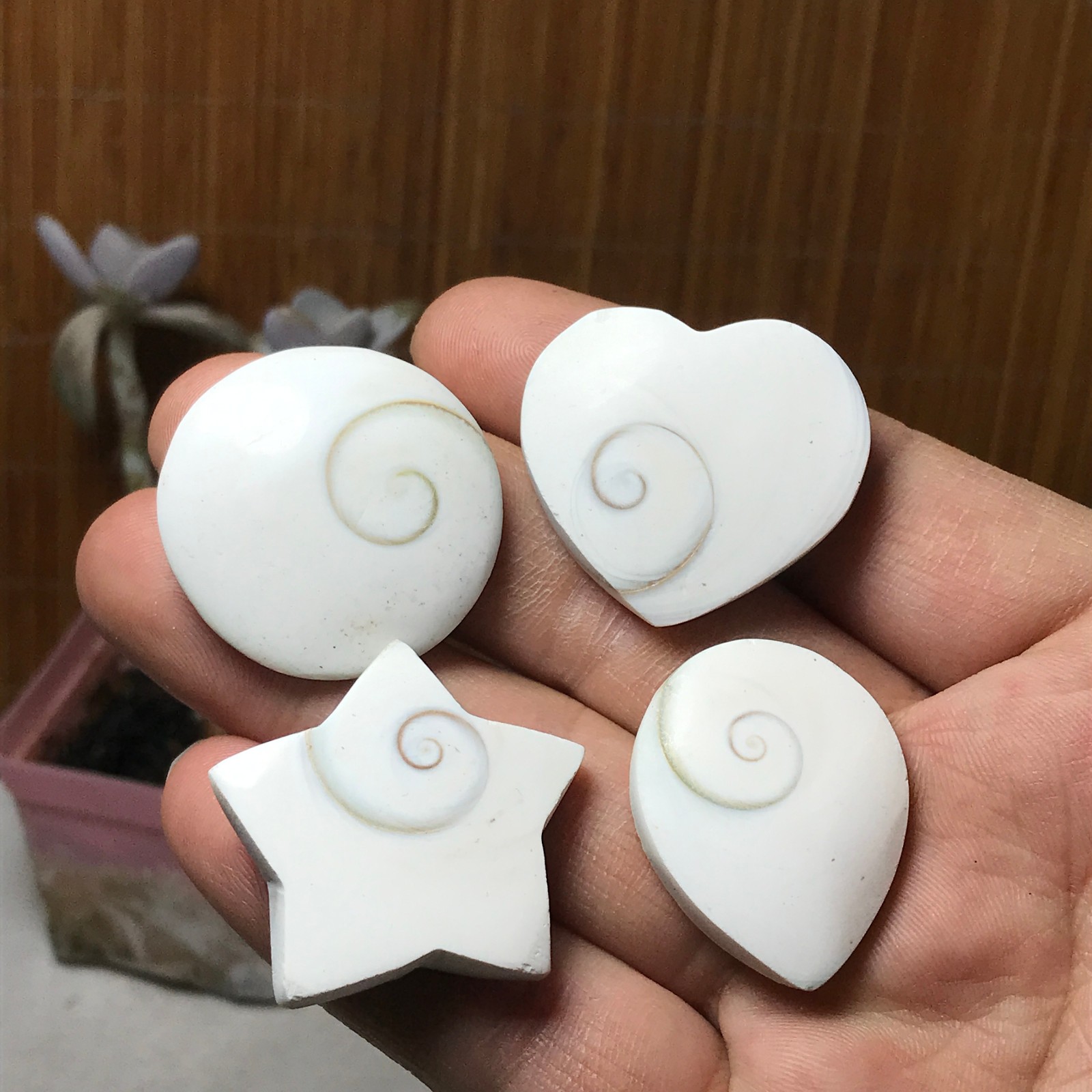 4Pcs Natural sun shell star Heart Reiki Shiva Eye ocean quartz carve A3334
