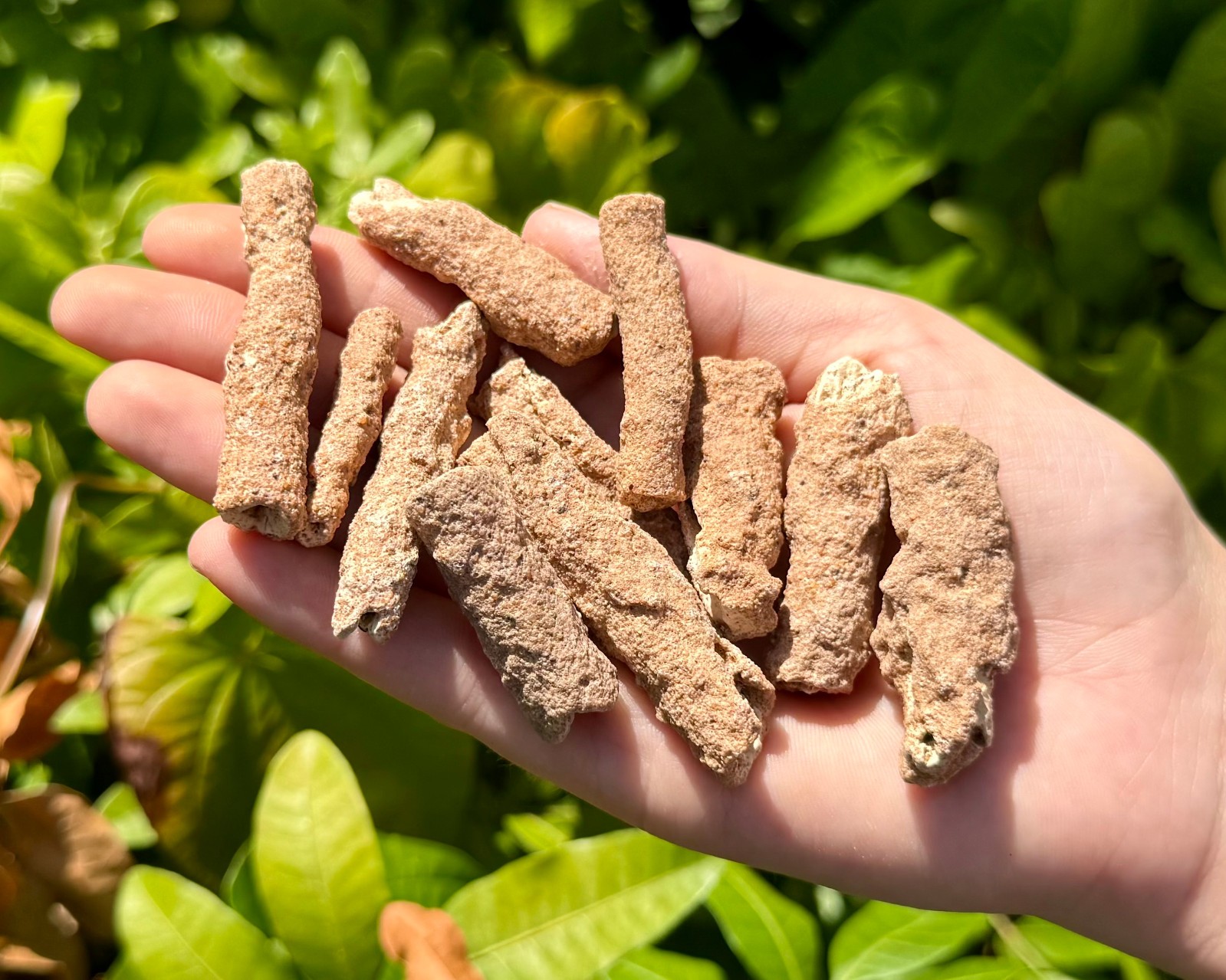 RARE Fulgurite Crystals, Natural Lightning Formed Fulgurite Wholesale Bulk Lots