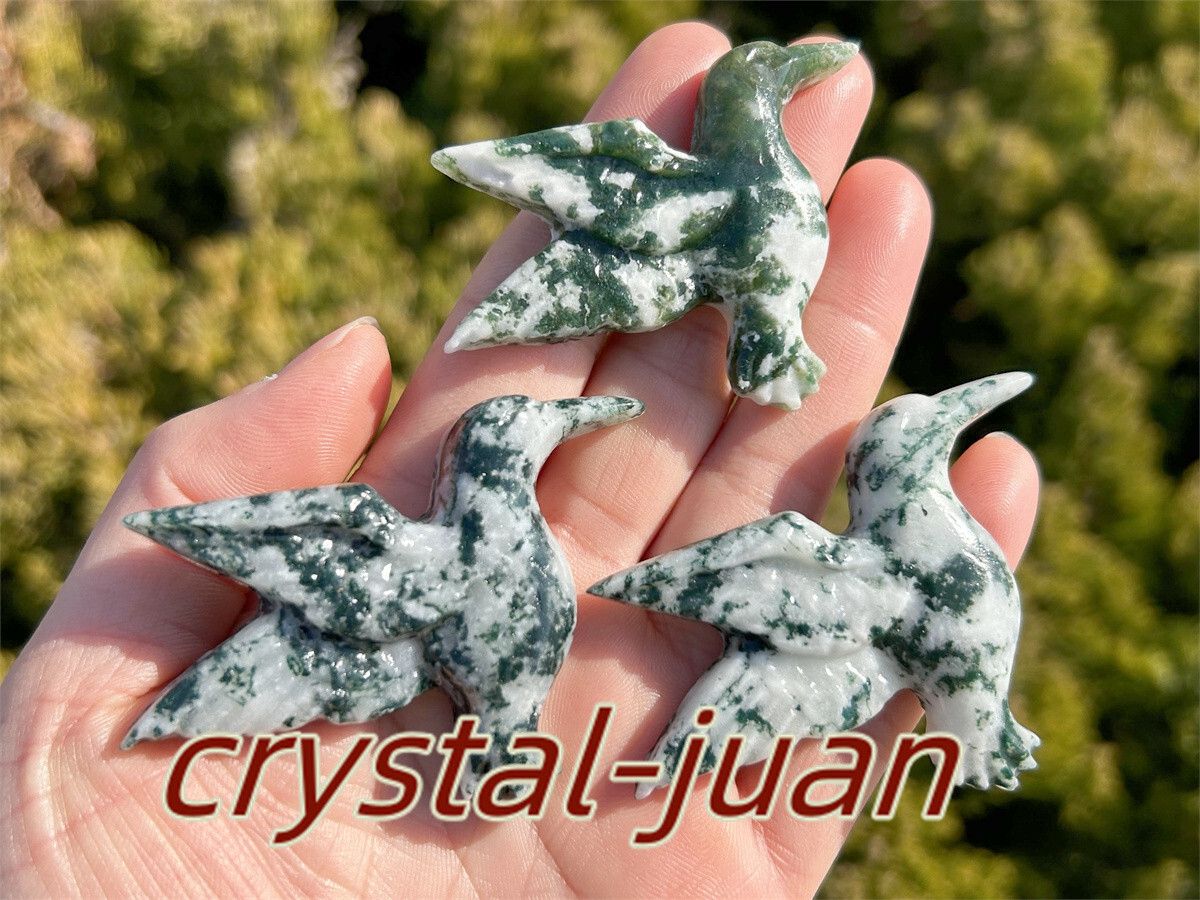 2″+ Natural Aquatic agatet hummingbird skull Carved Quartz Crystal skull heal
