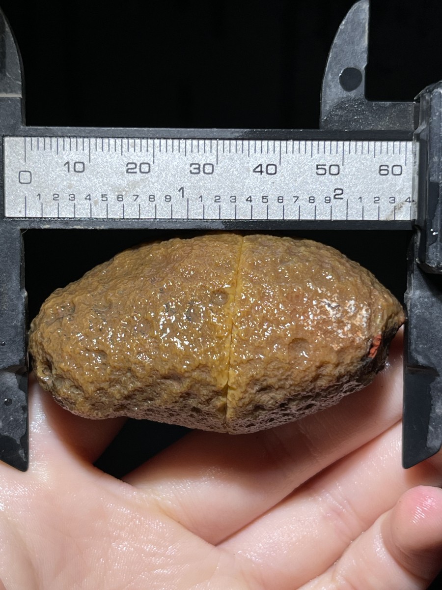 Natural Warring States Red Agate Rough Geode Quartz Crystal Specimen 97g A20