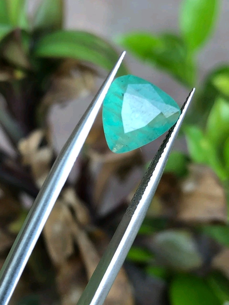 Natural Green Hackmanite 2.10 Ct Trillion Cut Color Change UV Fluorescent Gem