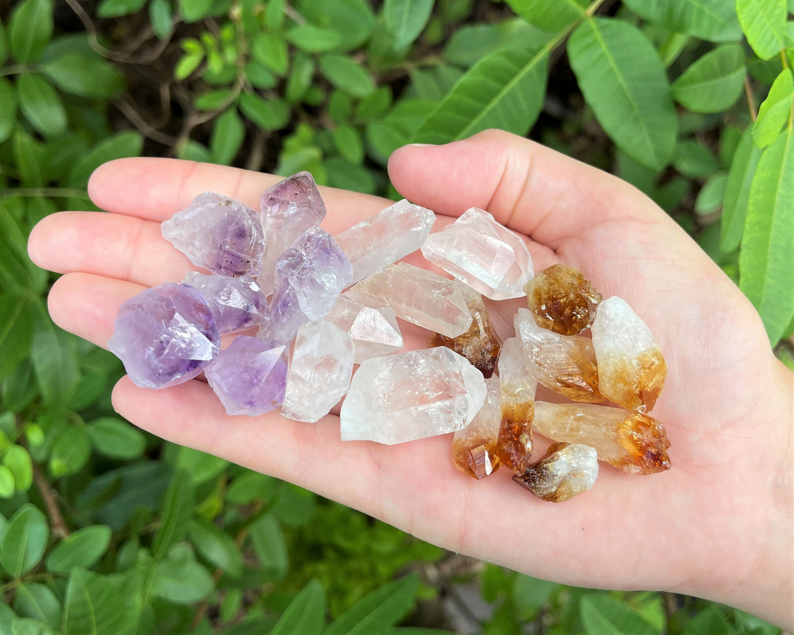 500 Carat Lot of Mixed Natural Crystal Points: Amethyst, Citrine, & Clear Quartz