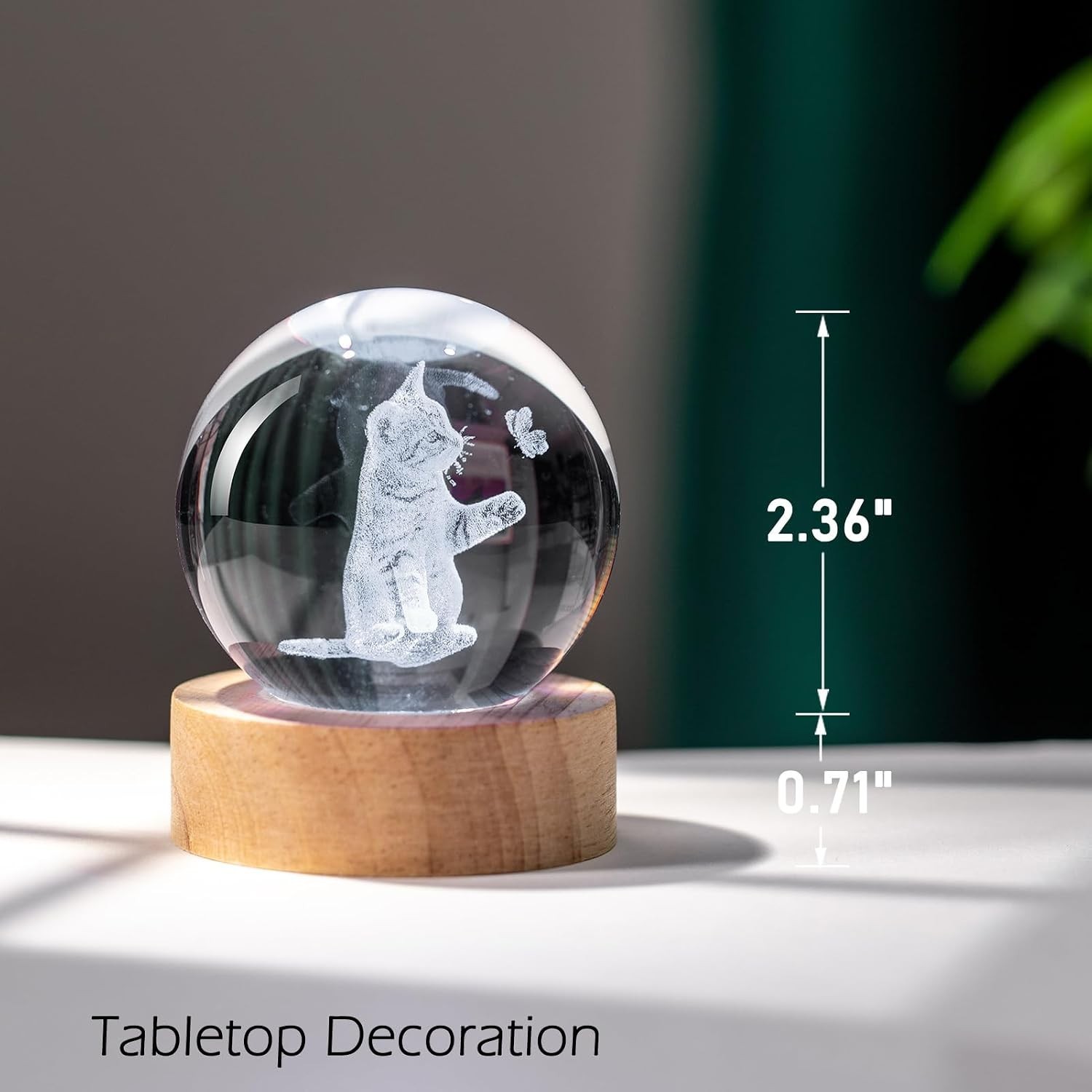 Engraved Cat Image in Crystal – USB Powered Night Light
