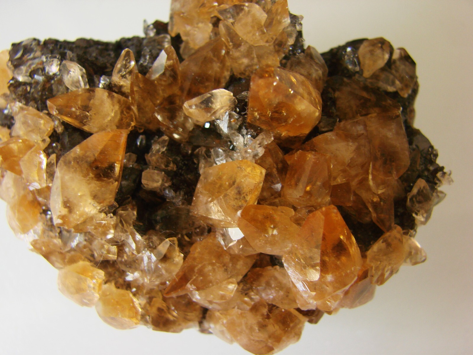 GOLDEN CALCITE ON SPHALERITE, Cumberland Mine, Carthage, Tennessee USA