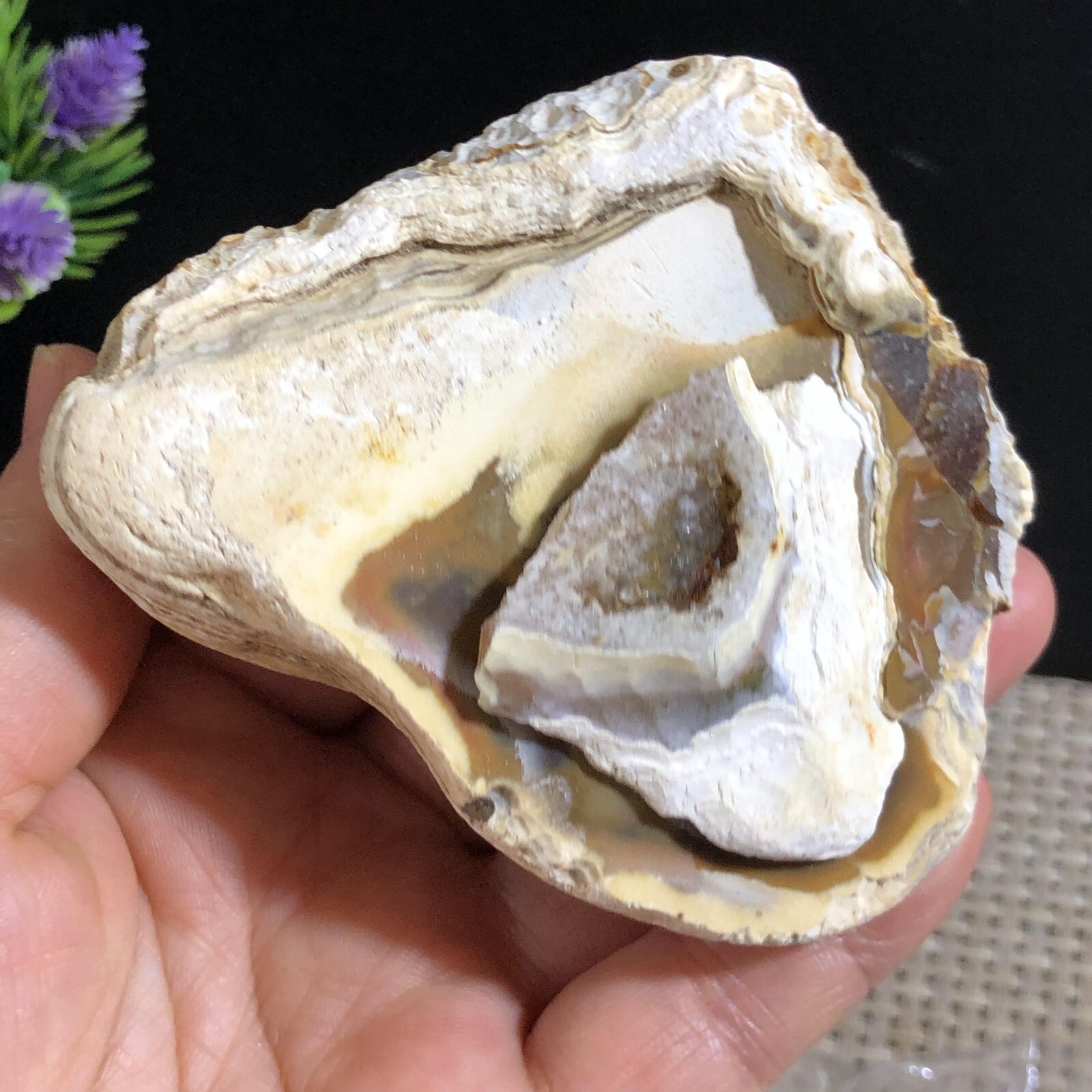 205g Bonsai Suiseki- Gobi Agate Eyes Stone-Rare Stunning Viewing #276