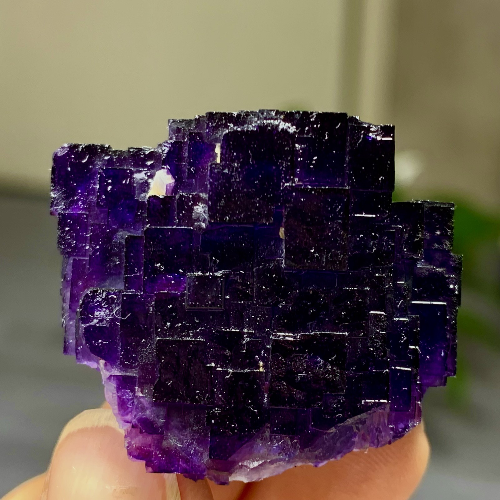 40G Natural purple framed cubic fluorite mineral specimen/Inner Mongolia
