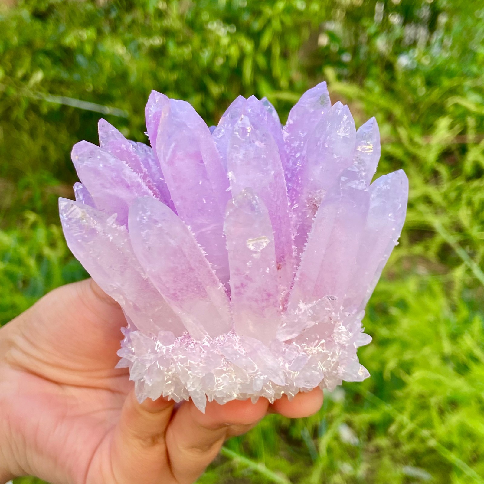 416G New Find PURPLE Phantom Cluster MineralSpecimen
