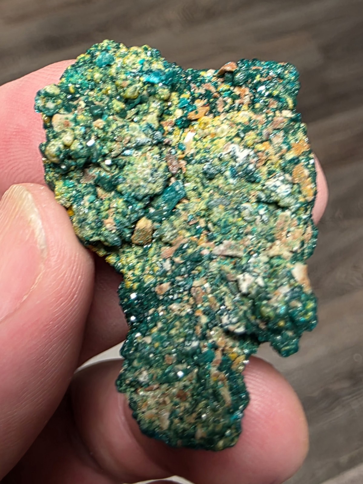 DIOPTASE w/ Wulfinite Crystal Mineral Specimen Cluster Green CONGO AFRICA 4.5 cm