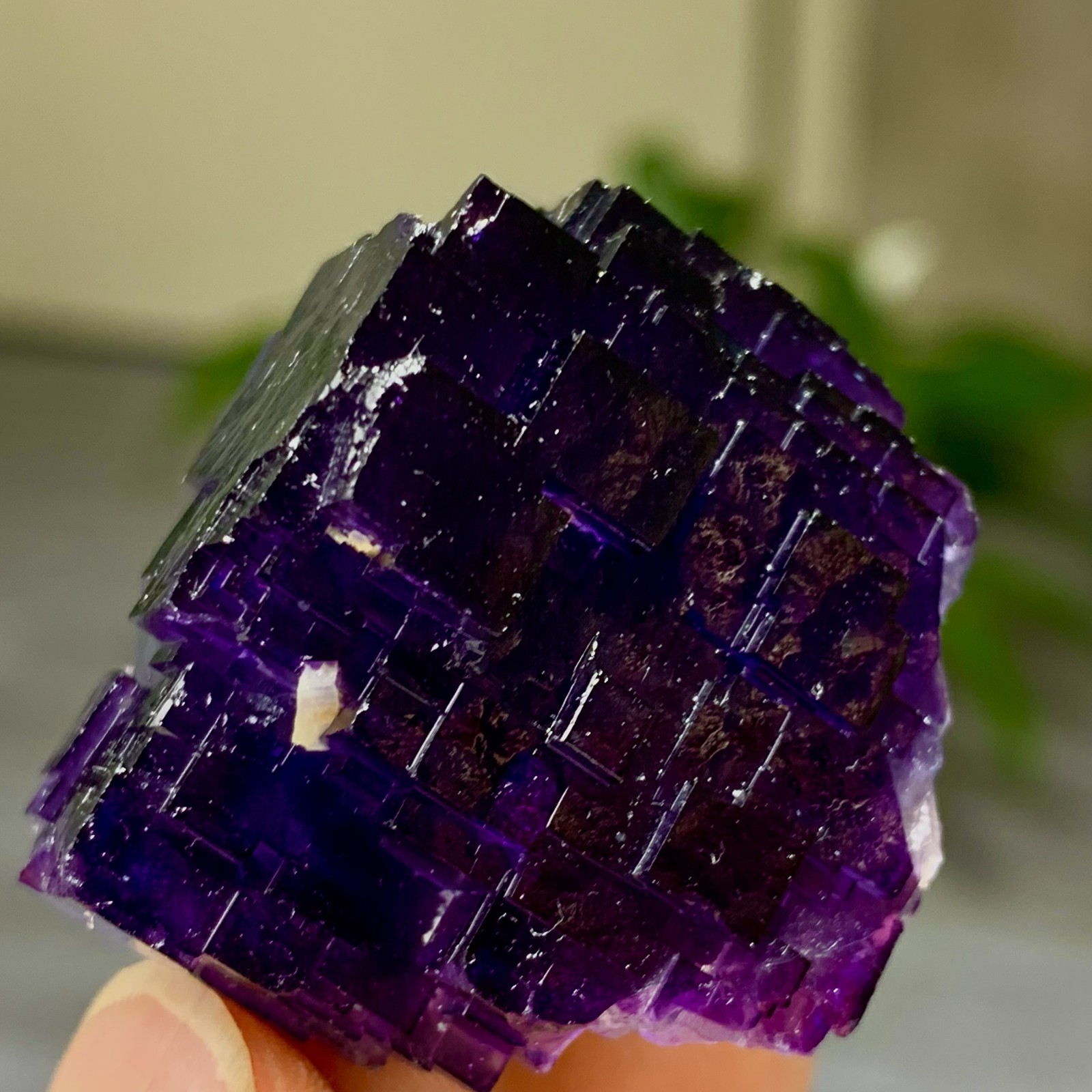40G Natural purple framed cubic fluorite mineral specimen/Inner Mongolia