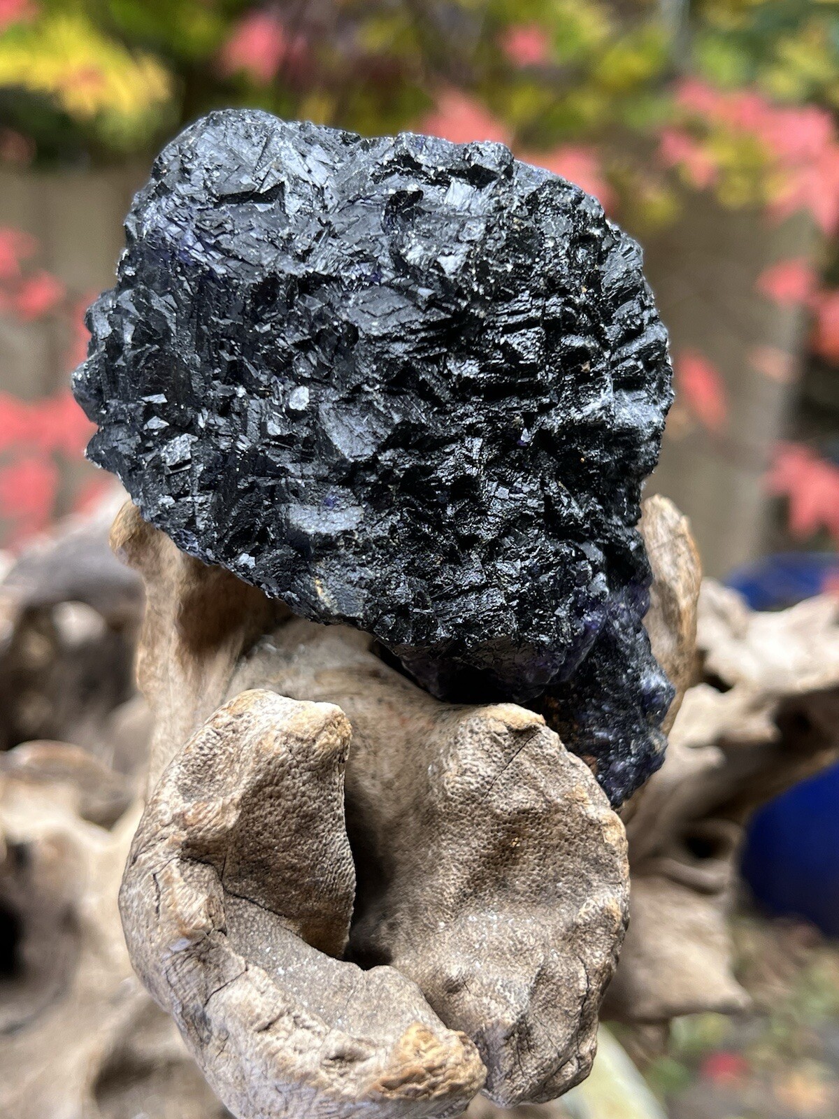 Blue John Fluorite Mineral Specimen United Kingdom 342g 8