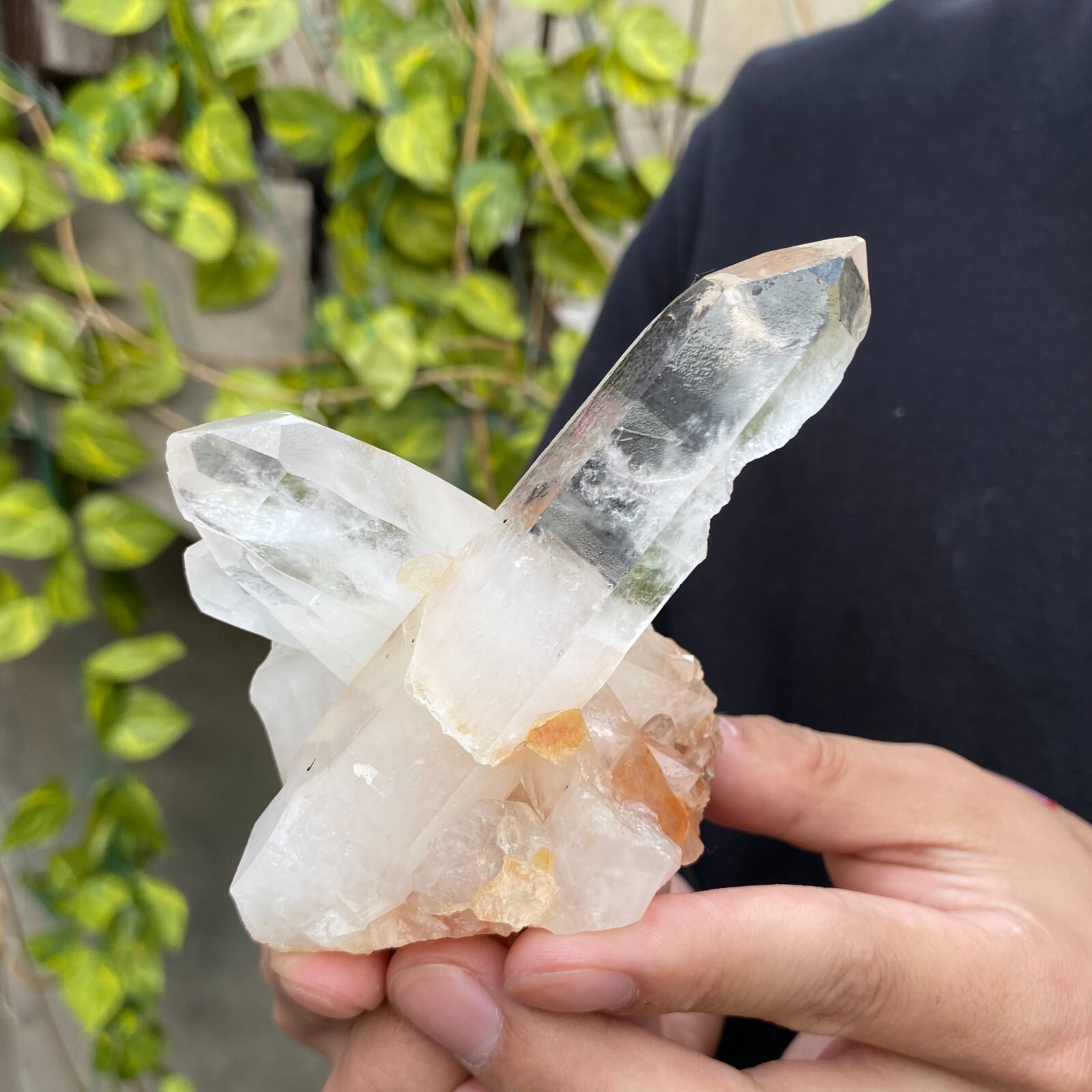 0.6lb Natural Clear White quart Crystal Cluster Raw Healing Specimen