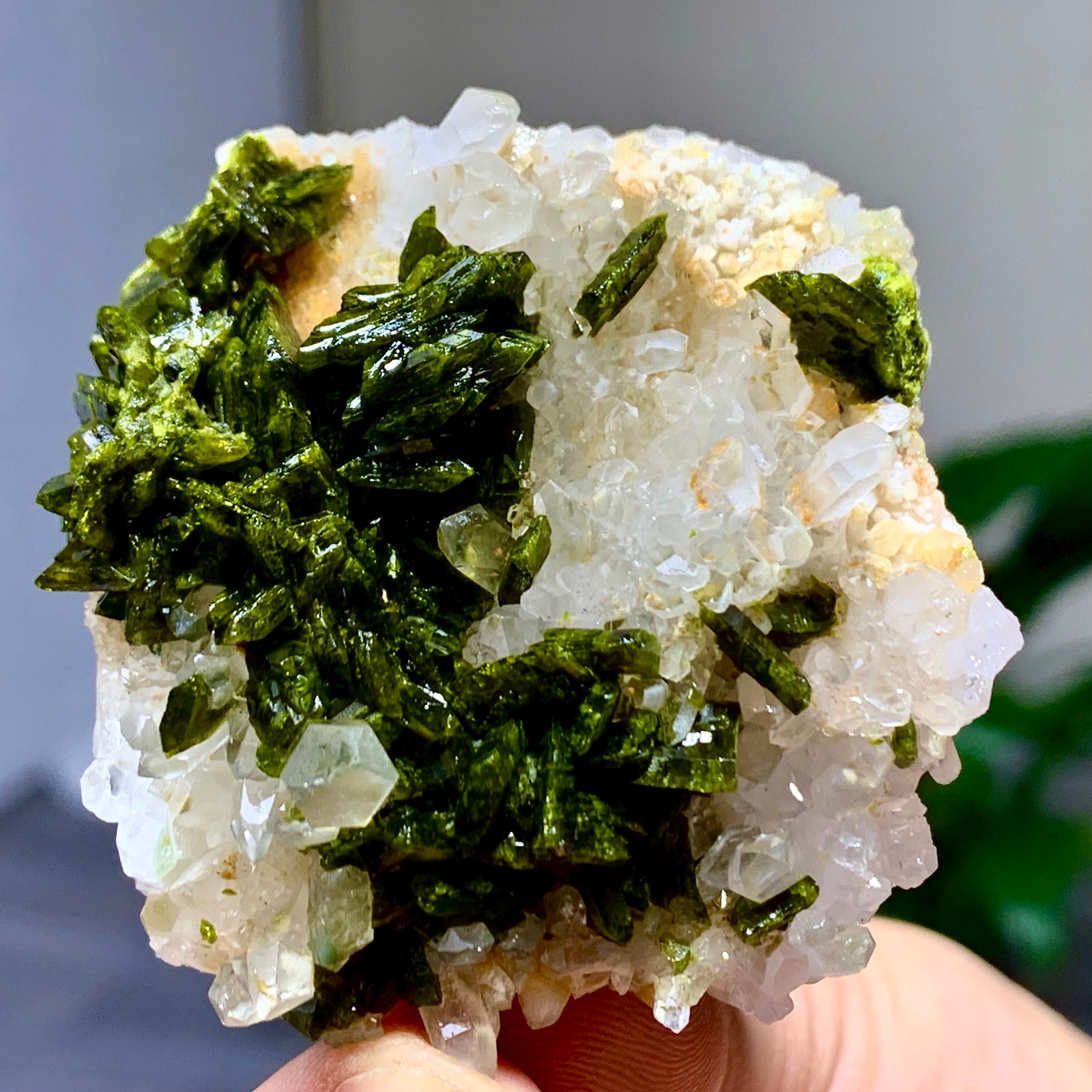 46g Natural Garden quartz cluster specimen tourmaline mineral healing SiChuan