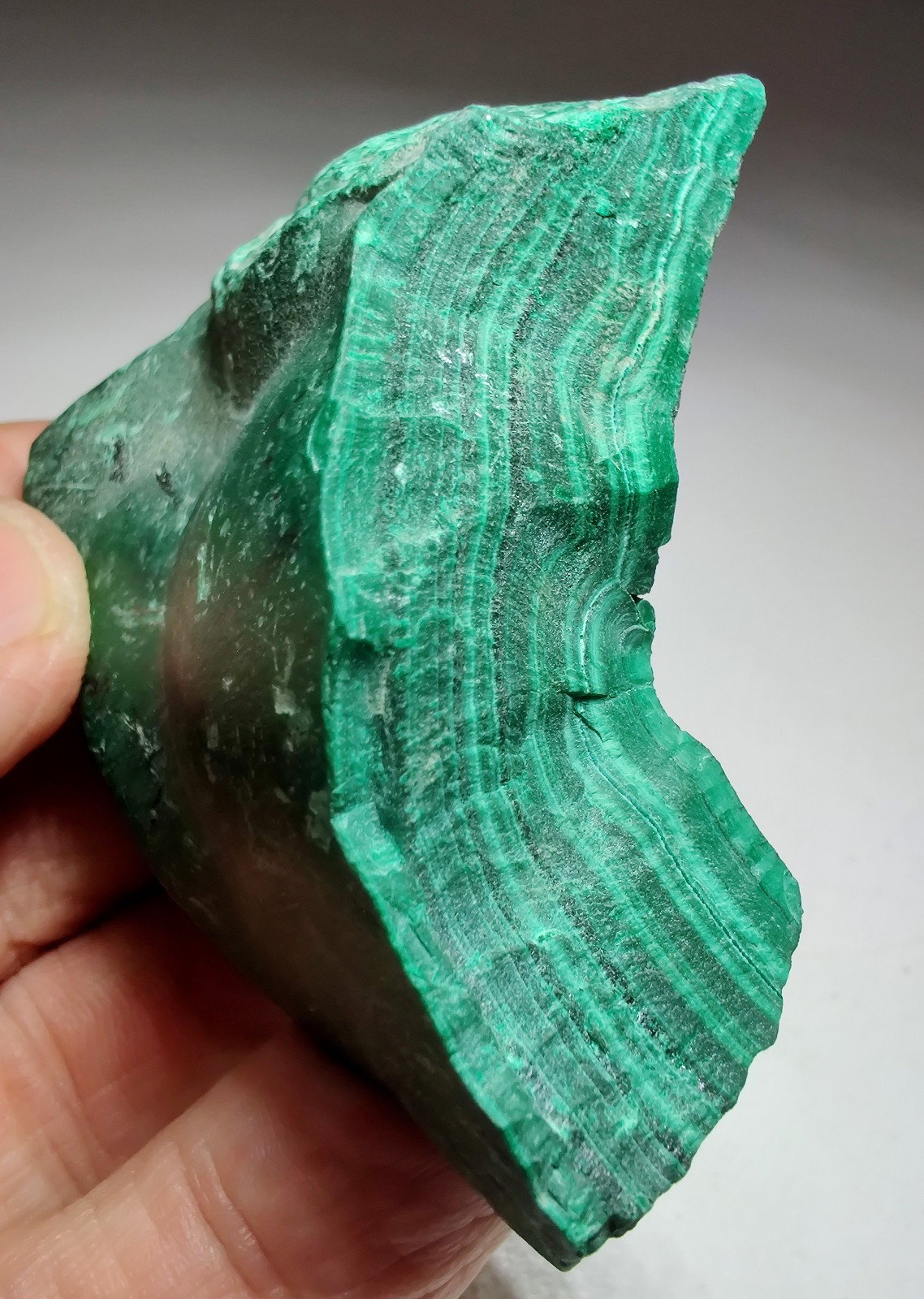Malachite specimen with great banding. Kolwezi, D.R Congo. 191 grams.