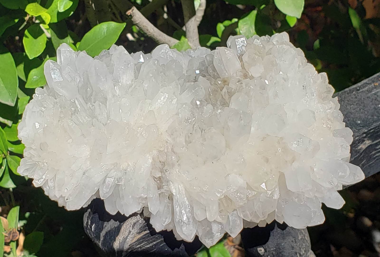 Natural White Clear Quartz Crystal Cluster Rainbow Specimen on Matrix, 1042g