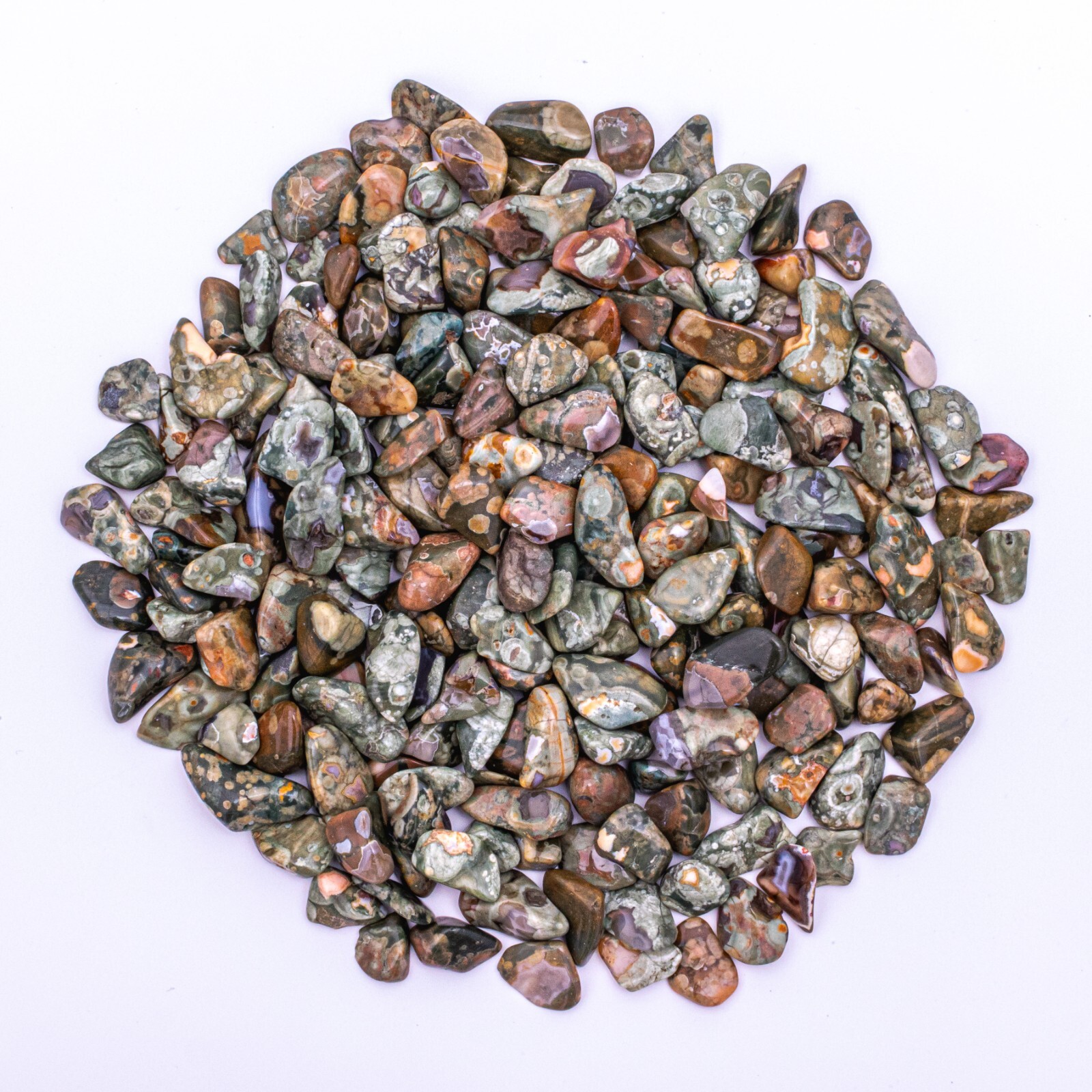 1 lb Tumbled Rainforest Rhyolite Jasper Gemstone Crystals 215-240 Stones Bulk