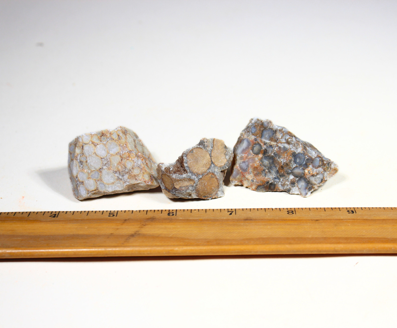 Cobra Jasper – Rough Rocks for Tumbling – Bulk Wholesale Options