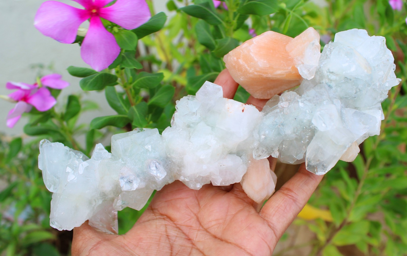Apophyllite Crystals w/ Stilbite Formation Minerals Specimen ( 20×7 ) REPAIR