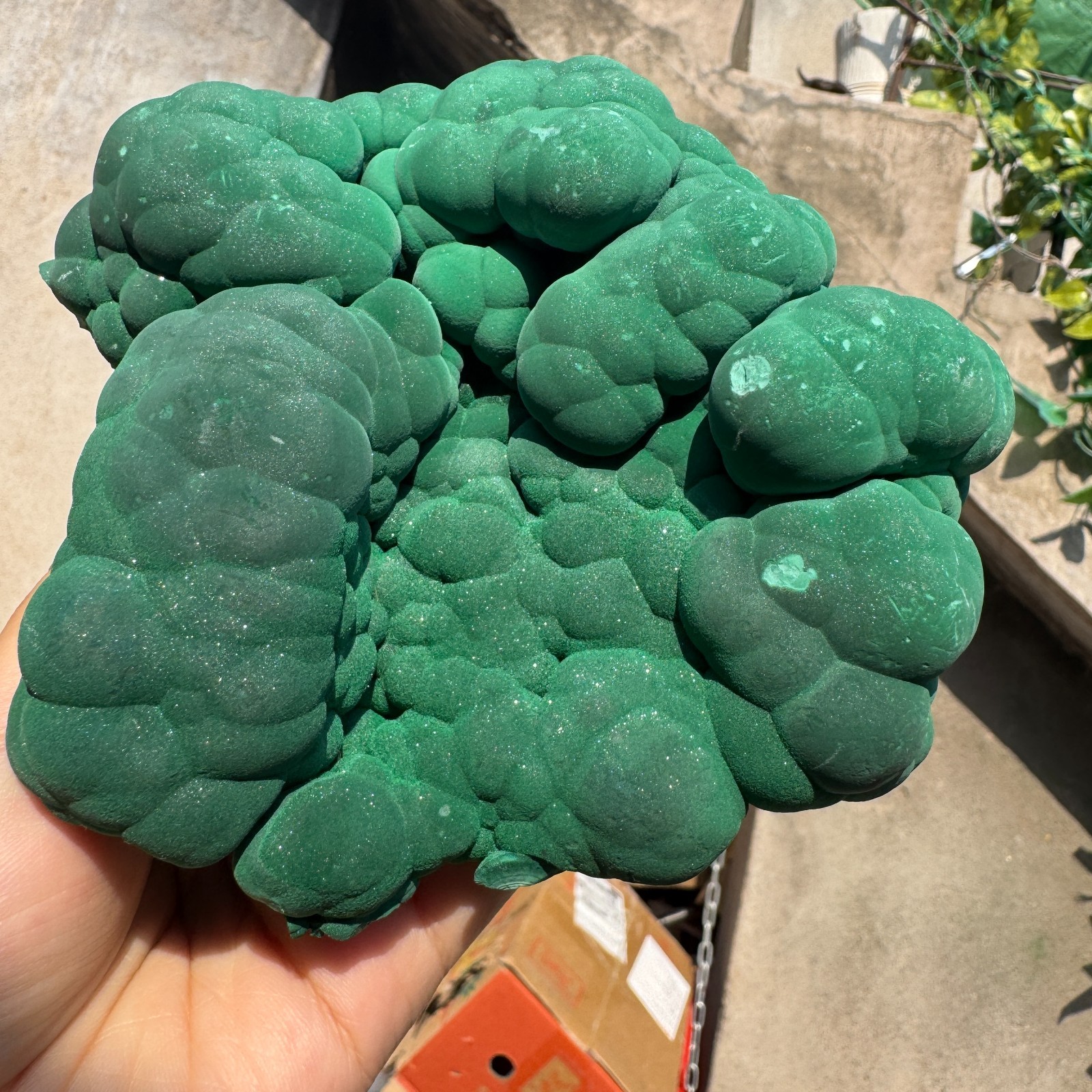 1180G Natural Malachite crystal quartz Mineral Specimen Reiki congo