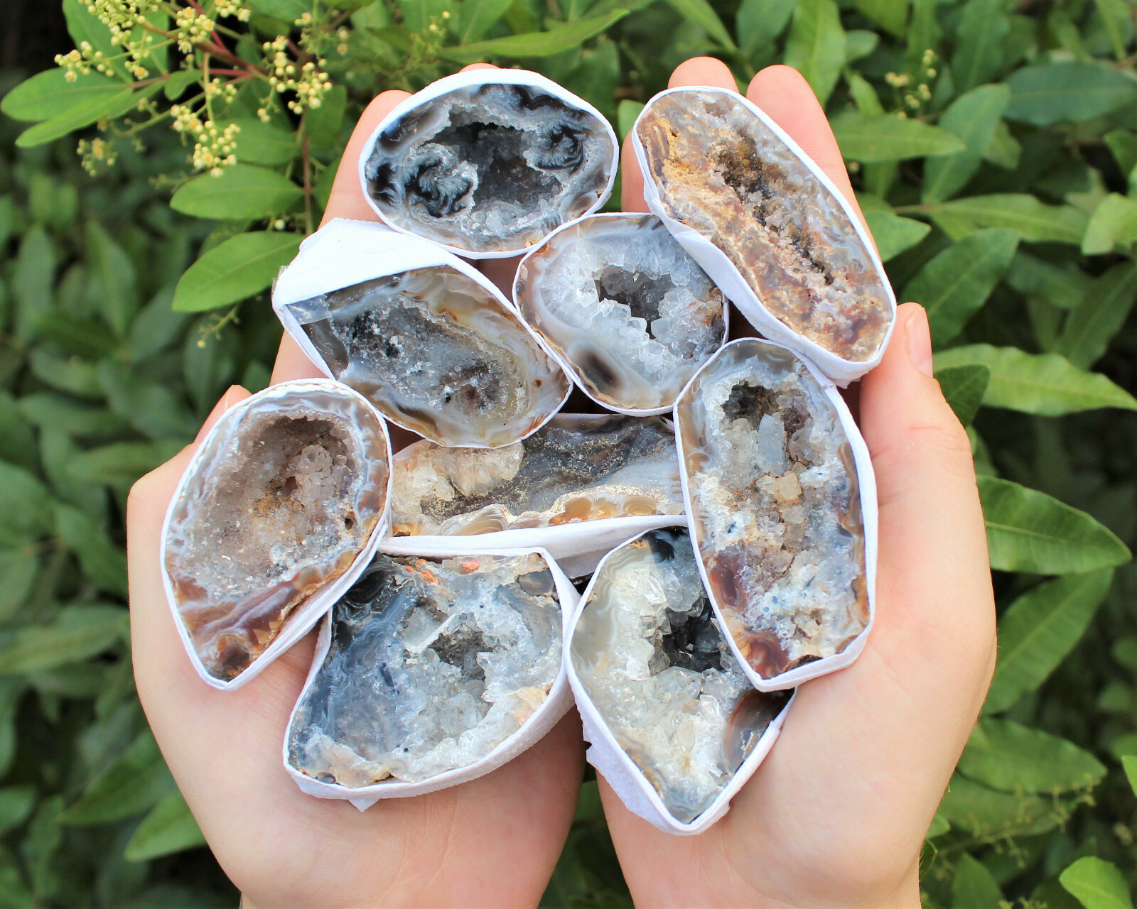 Large Oco Agate Geodes, Natural Crystal Druzy Halves: Choose How Many Pieces!