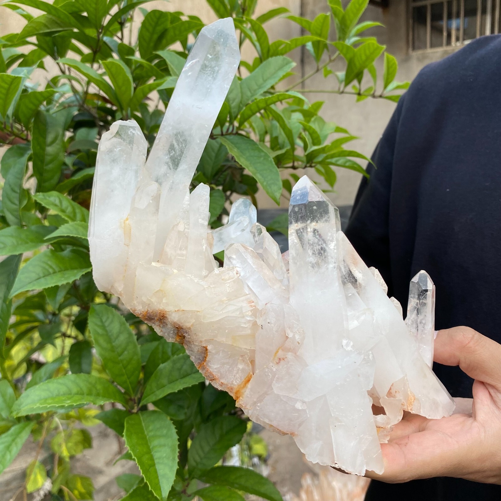 3.1lb Natural Clear White quart Crystal Cluster Raw Healing Specimen