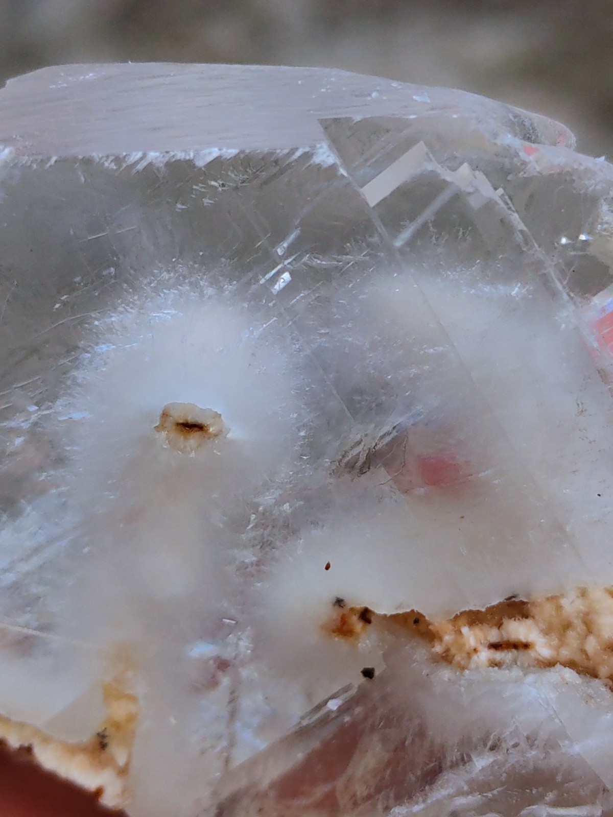 Okenite Tree 🌲 in Calcite. Phantom Calcite, Natural mineral specimen.