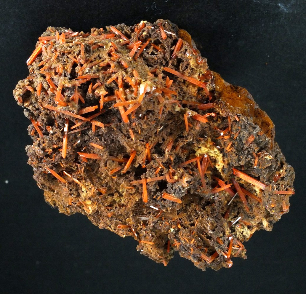 Crocoite Crystals. Adelaide Mine Dundas. Tasmania Australia (EA11520)
