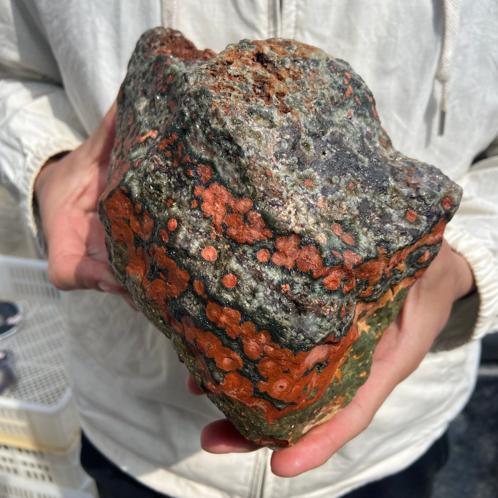 8lb Rare Natural colourful ocean jasper quartz crystal rough mineral specimen