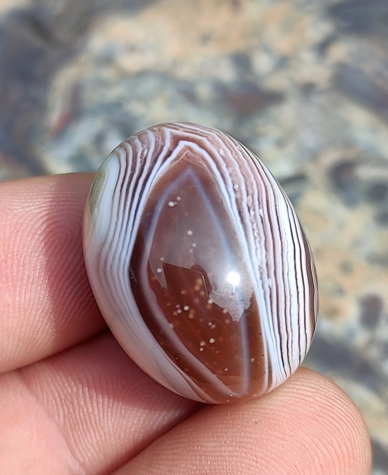 POLISHED BEAUTIFUL BOTSWANA AGATE, NATURAL BURGUNDY EYE 20g BOTSWANA AGATE